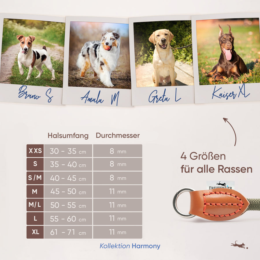 Hundehalsband mit Zugstopp - Harmony Kollektion in Chocolate