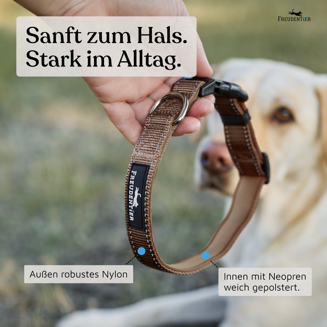 Hundehalsband - Clyde Kollektion in Chocolate