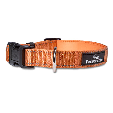 Hundehalsband - Clyde Kollektion in Sunset Orange