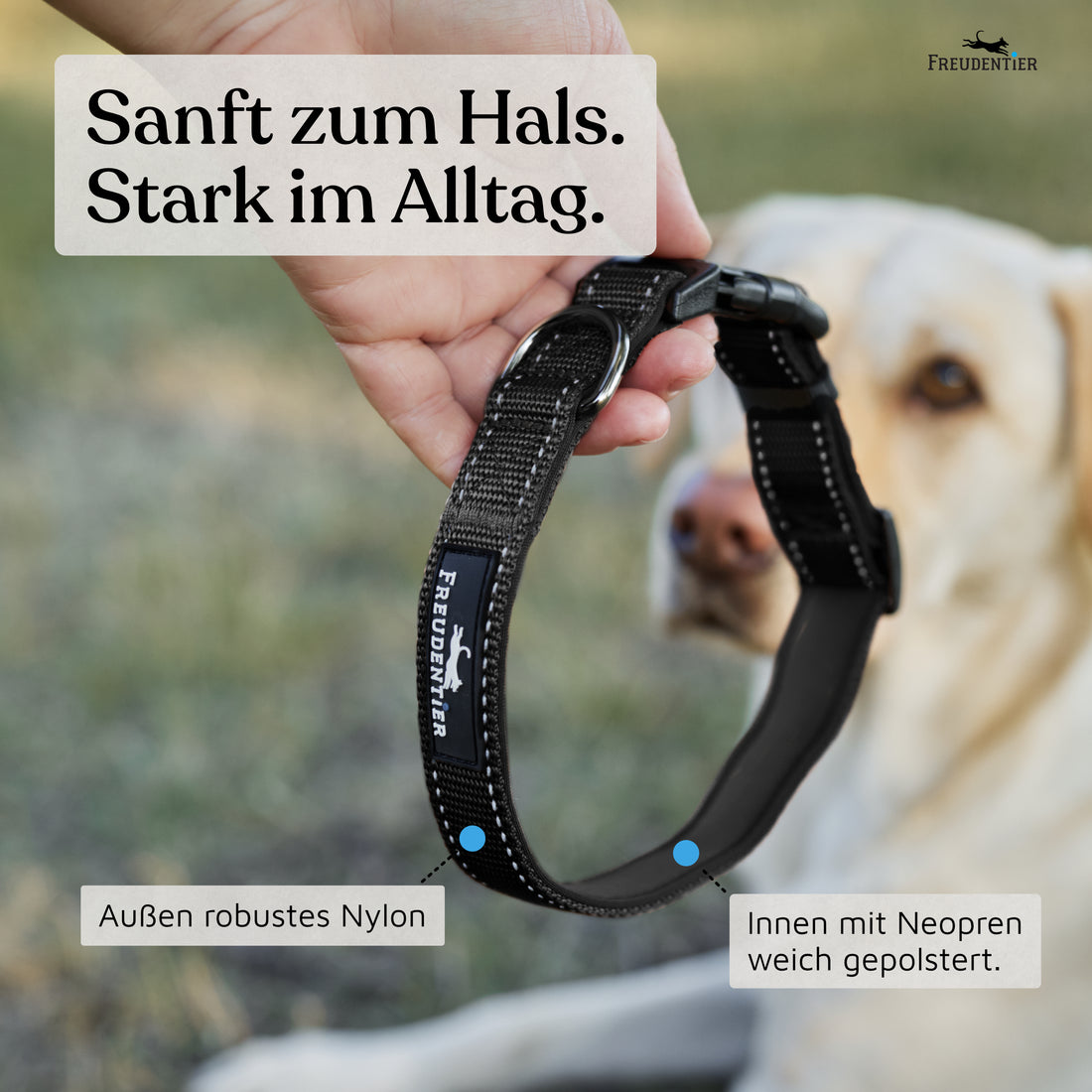 Hundehalsband - Clyde Kollektion in schwarz