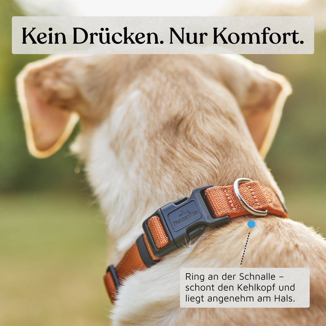 Hundehalsband - Clyde Kollektion in Sunset Orange