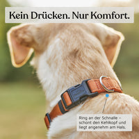 Hundehalsband - Clyde Kollektion in Sunset Orange