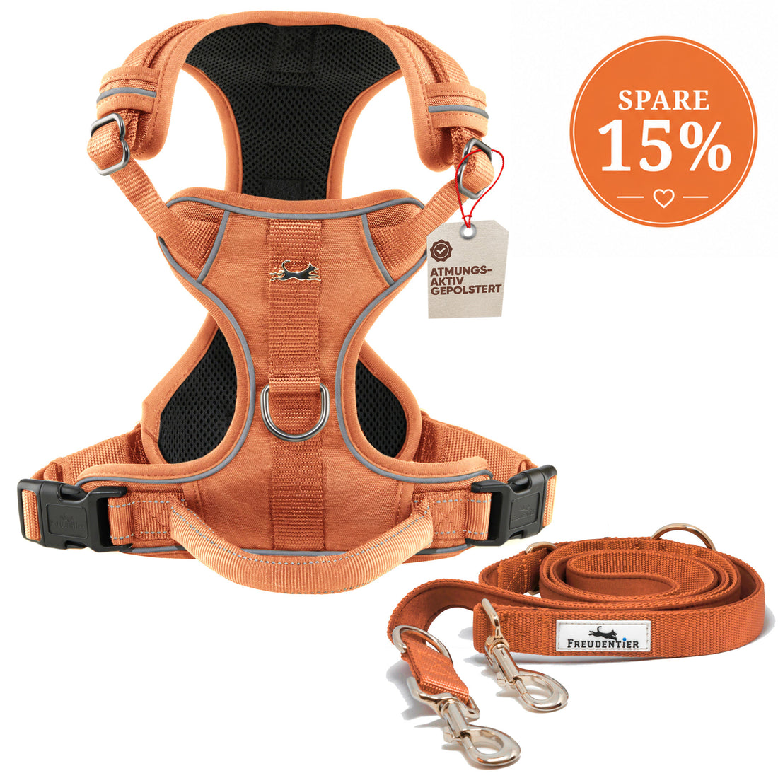 Gassi-Komplettset - Hundegeschirr & Leine im perfekt aufeinander abgestimmten Look