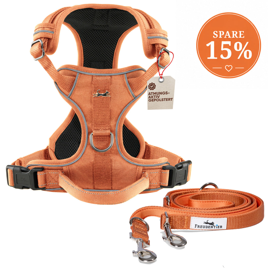 Gassi-Komplettset - Hundegeschirr & Leine im perfekt aufeinander abgestimmten Look