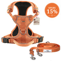 Gassi-Komplettset - Hundegeschirr & Leine im perfekt aufeinander abgestimmten Look