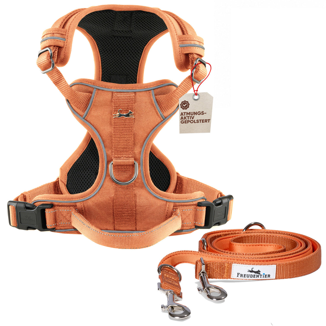 Gassi-Komplettset - Hundegeschirr & Leine im perfekt aufeinander abgestimmten Look