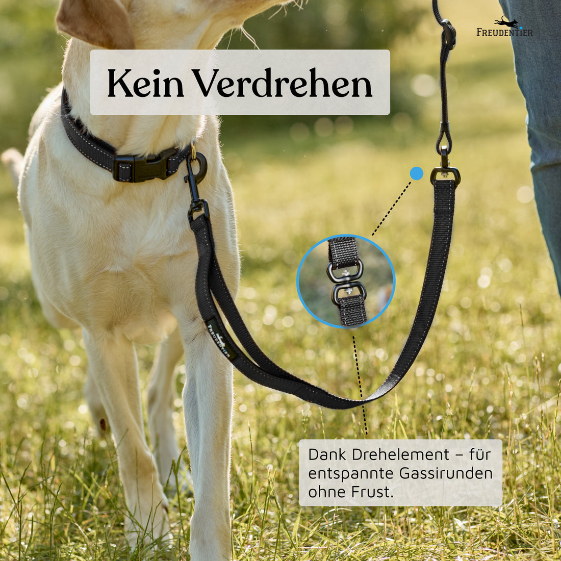 NEU: Umhängeleine 3m - UrbanFlow Kollektion in Schwarz
