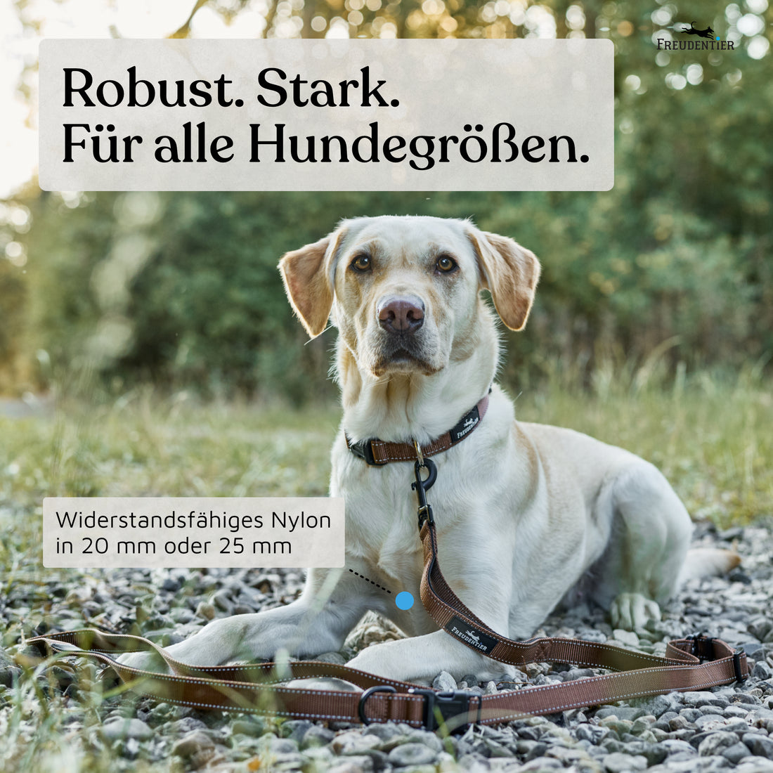 NEU: Umhängeleine 3m - UrbanFlow Kollektion in Chocolate
