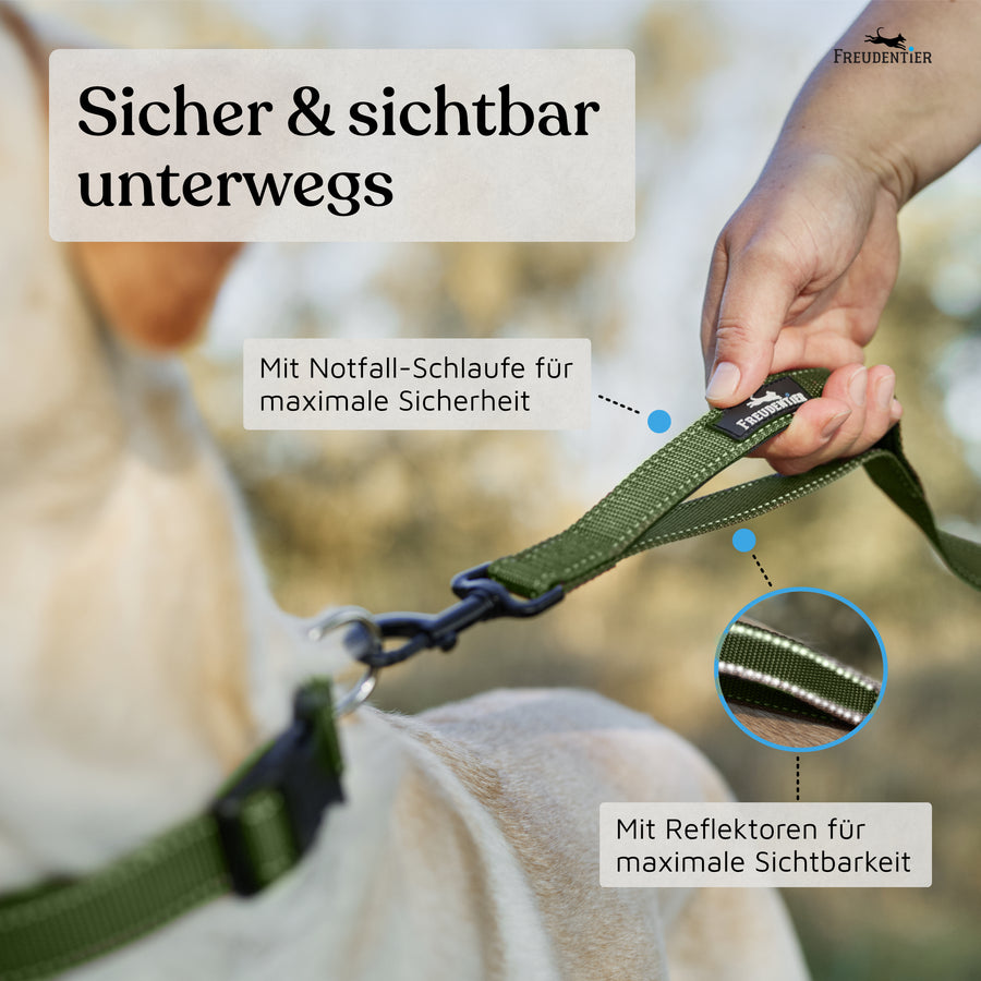 NEU: Umhängeleine 3m - UrbanFlow Kollektion in Olivgrün